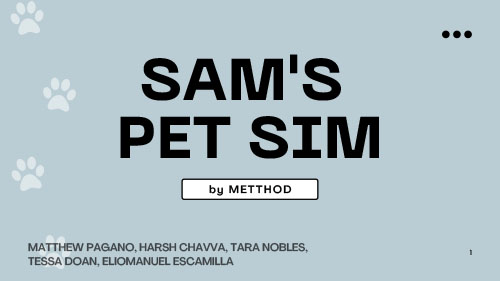 Team Metthod: Sam's Pet Sim