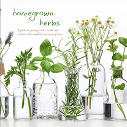 Murray: Homegrown Herbs